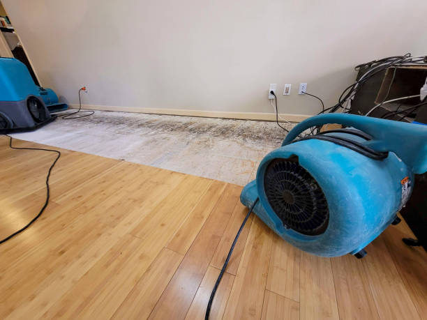 Professional Water Damage Repair technician working in Sutton, MA